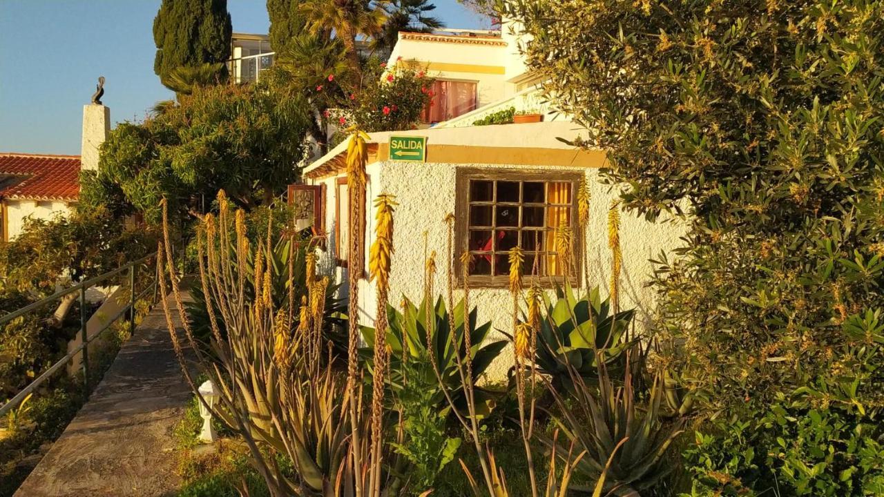 Willkommen Im Paradies - Welcome In Paradise - Bienvenidos Al Paraiso La Matanza De Acentejo المظهر الخارجي الصورة